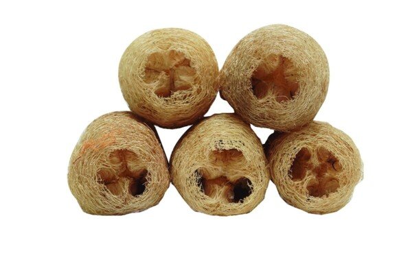 Buy loofah online natural luffa cylindrica 5 pack biodegradable bath sponge exfoliating scrubber