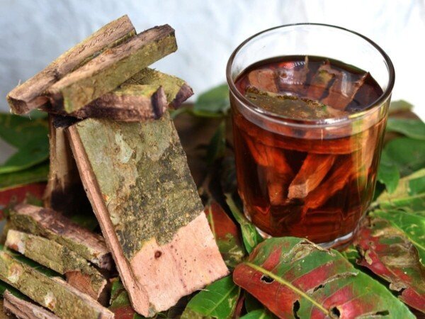 Arjun ki chaal buy 1kg sun-dried Arjuna bark for heart health cholesterol management and immunity support