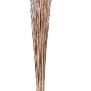 Coconut Fiber Broomstick