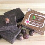 Natural shampoo bar Earthy Sapo Reetha Coconut Milk handmade vegan paraben SLS free for dry scalp hair