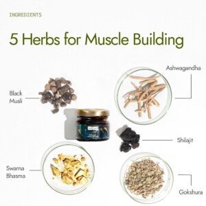 Kapiva Shilajit Shilajeet Gold Resin 20g123