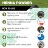The Forest Herbs Henna Powder1