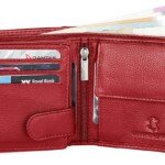 WildHorn Leather Men's Wallet12