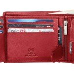 WildHorn Leather Men's Wallet123