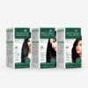 Herbal hair colour ammonia free Biotique Herbcolor 9 organic extracts 50g developer 110ml black brown shades