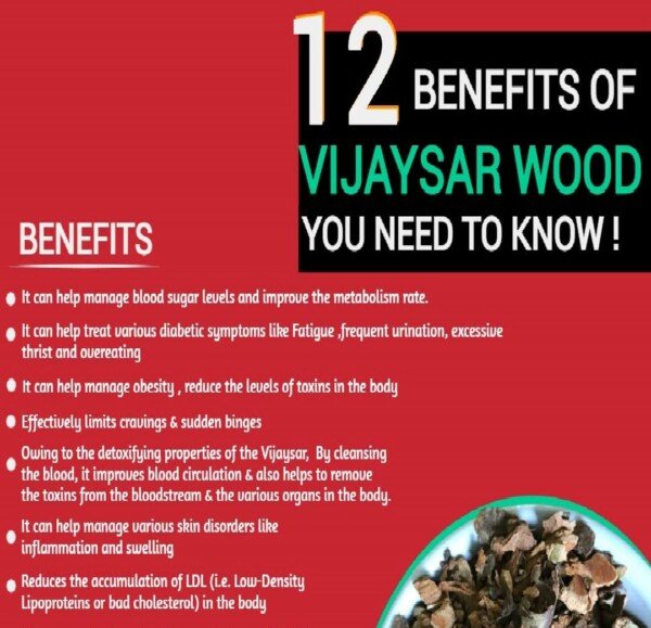 Vijaysar glass price value 1pc Ayurvedic tumbler filled with water for overnight infusion ritual